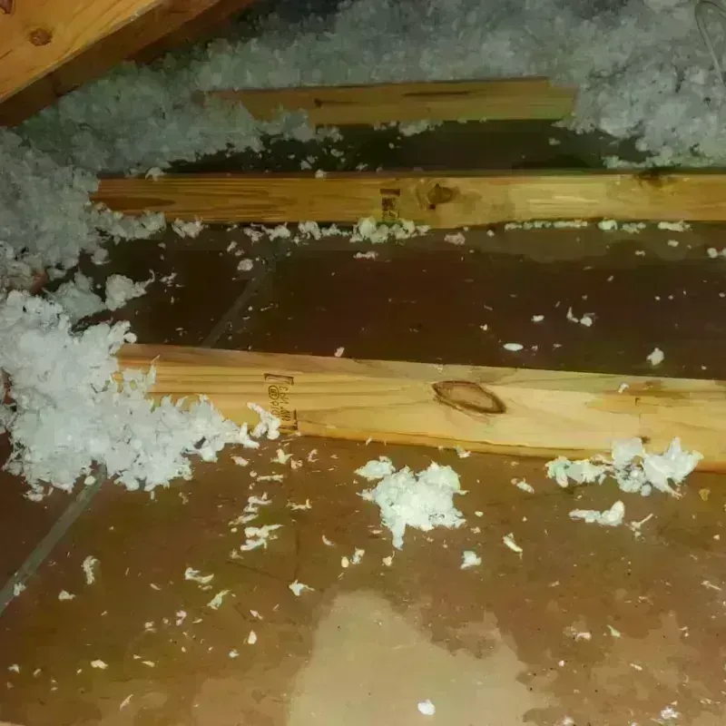 Attic Water Damage in Garden City, MI