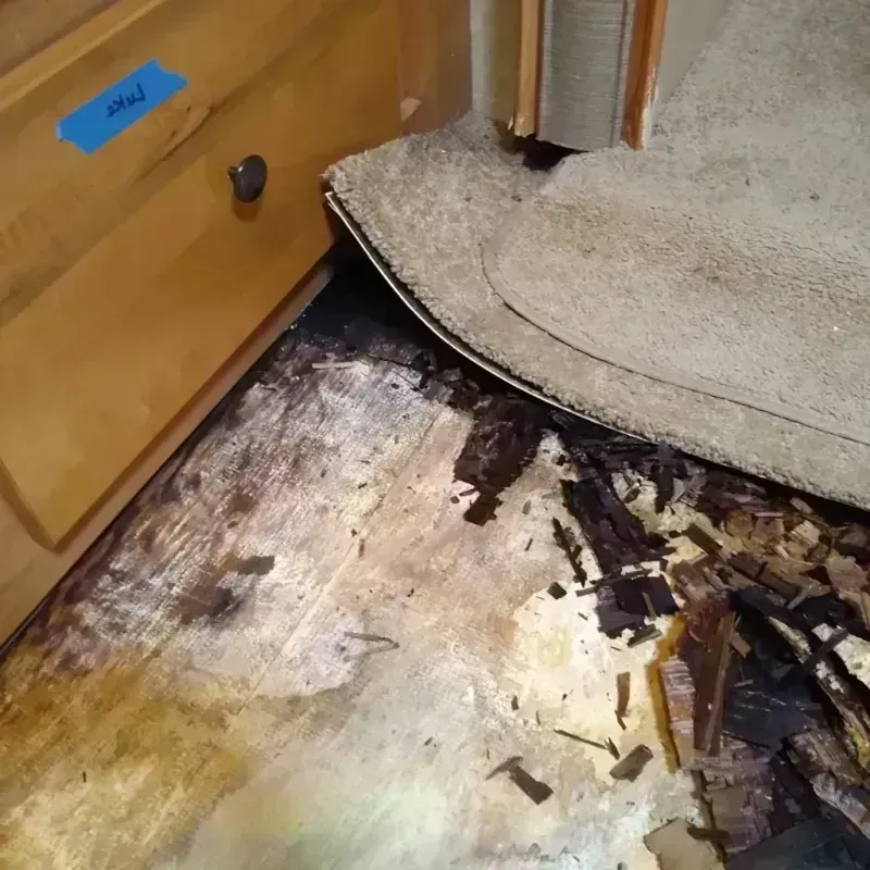 Wood Floor Water Damage in Garden City, MI